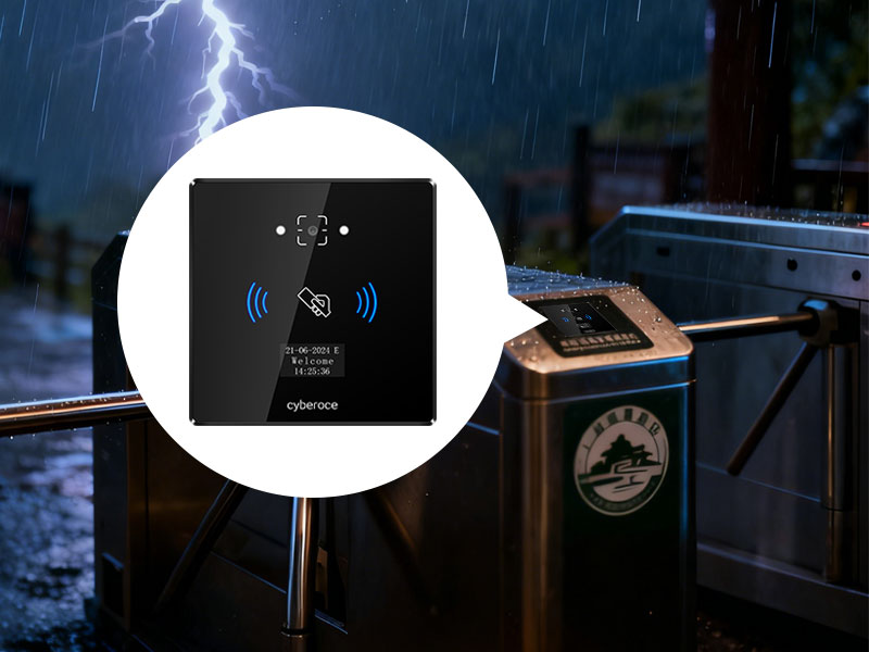 西南地区高雷暴频次场景下的电涌冲击测试